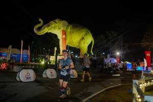 BIB: 
                            <button type="button" onclick="openModal(26552394)" class="btn btn-primary btn-sm float-right btn-popup" data-toggle="modal" data-target=".modal-high-quality">
                        <i class="fas fa-shopping-cart"></i> Add to Cart
                    </button>
                                            <button type="button" onclick="isThisMe(26552394, true)" class="btn btn-success btn-sm float-right btn-popup btn-isme hidden" data-toggle="tooltip" data-placement="bottom" title="นี่คือรูปของคุณใช่ไหม คลิกที่นี่เพื่อเอาเข้าอัลบั้ม">
                        <i class="fas fa-plus"></i> Add to album
                    </button>
                    <button type="button" onclick="isThisMe(26552394, false)" class="btn btn-warning btn-sm float-right btn-popup btn-isnotme hidden">
                        <i class="fas fa-ban"></i> Remove from album
                    </button>